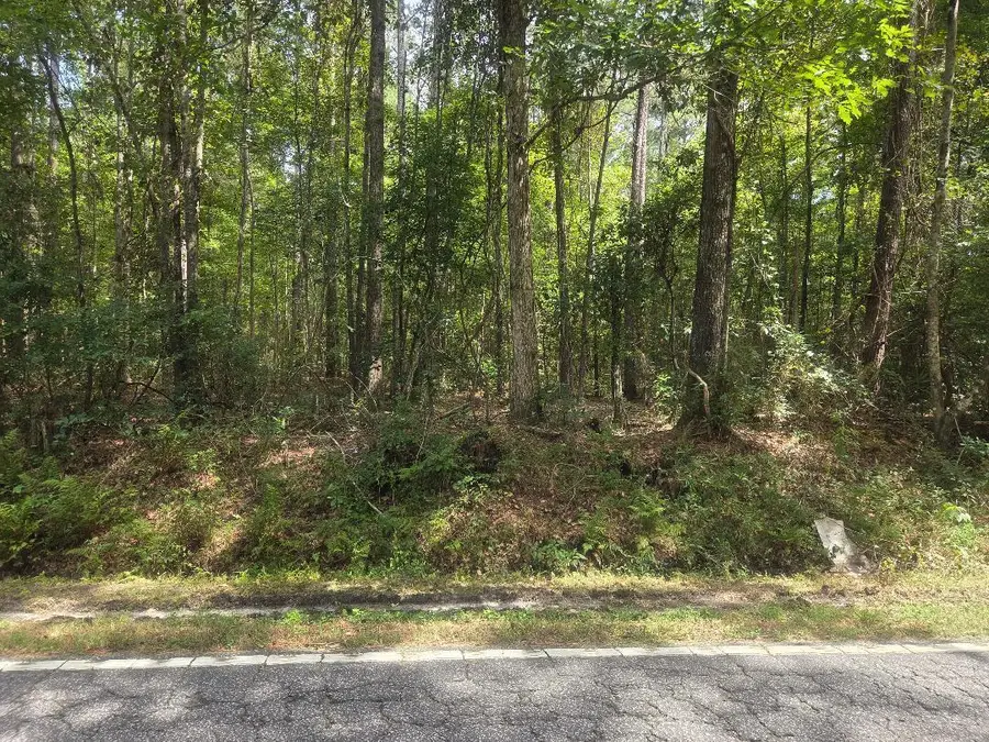 0 Jacksonboro Road, Cottageville, SC 29435 - Image #3