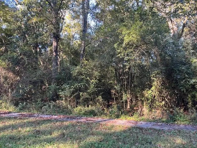 74 Chestnut Avenue, Denmark, SC 29042 - Image #2