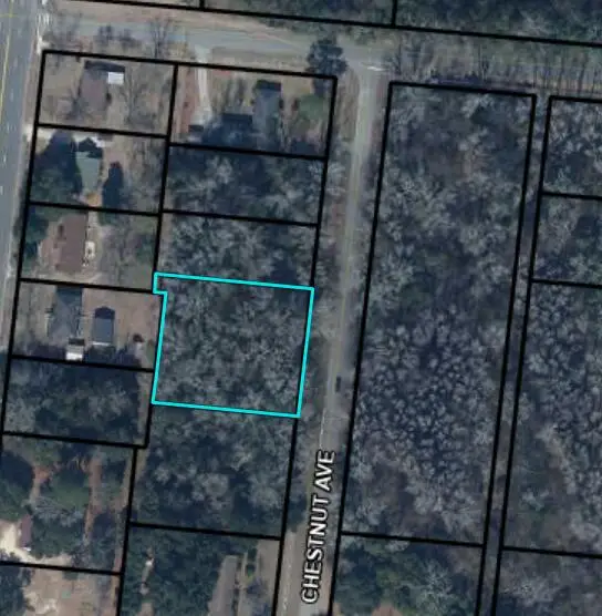 74 Chestnut Avenue, Denmark, SC 29042 - Image #3