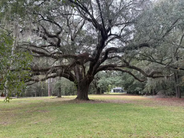 Lot 10 Plantation Lane, Walterboro, SC 29488