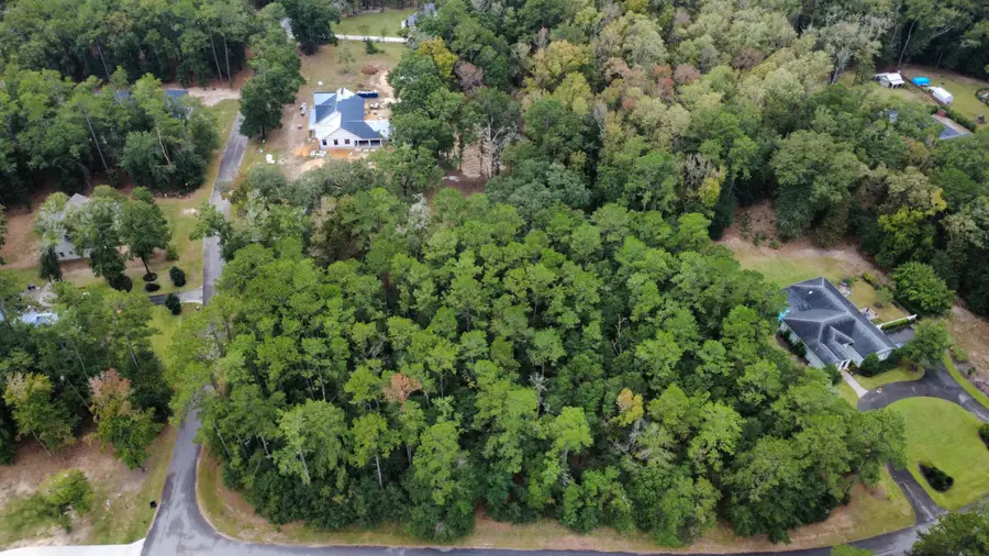 Lot 10 Plantation Lane, Walterboro, SC 29488 - Image #3