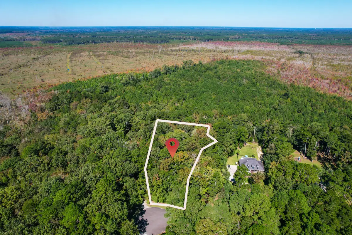 6682 Pepper Grass Trail, Ravenel, SC 29470 - Image #1