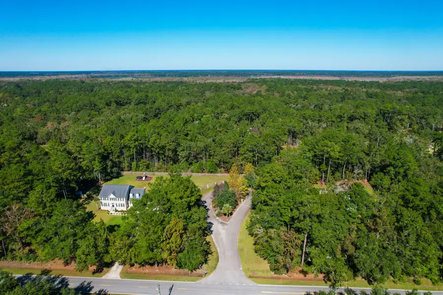 6682 Pepper Grass Trail, Ravenel, SC 29470 - Image #3