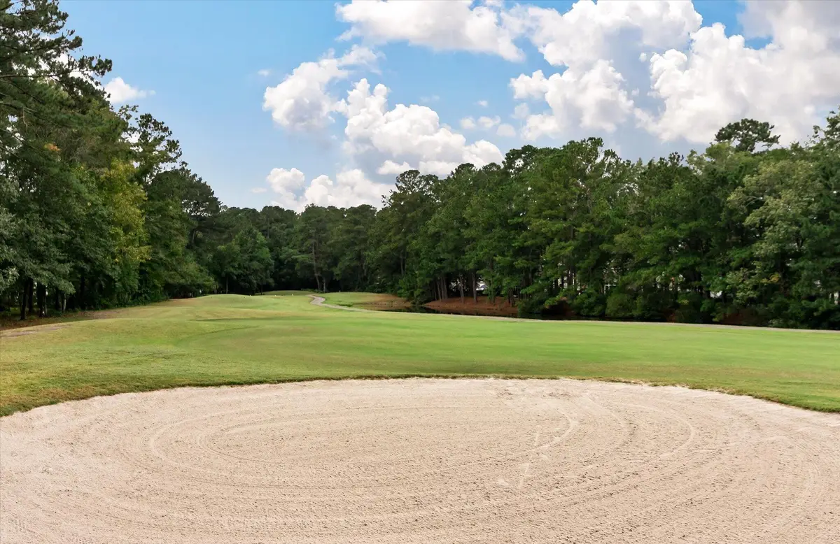 534 Pointe Of Oaks Road, Summerville, SC 29485 - Image #1