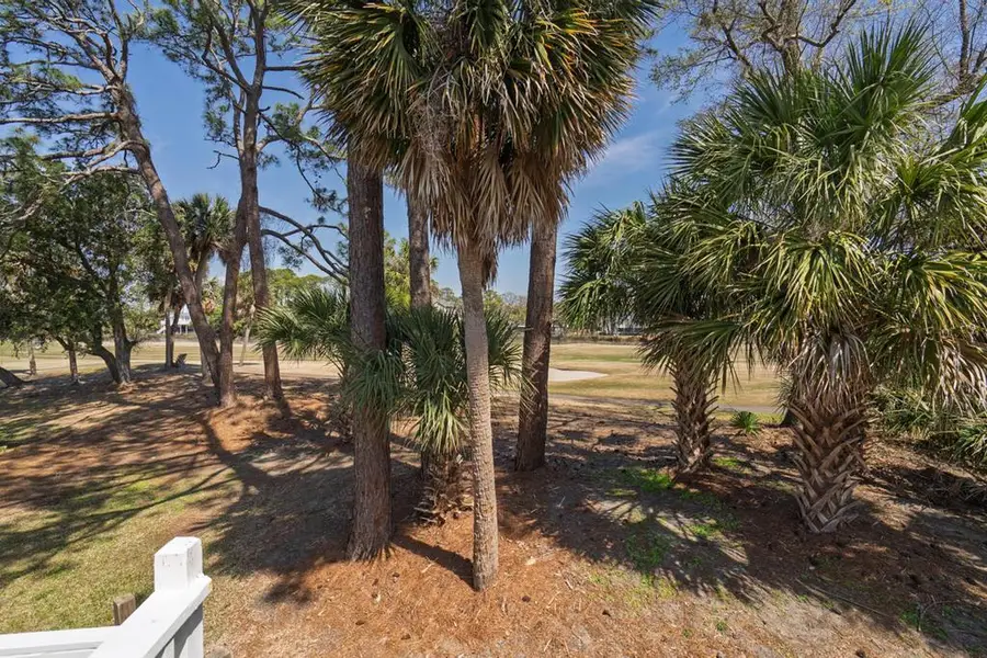 60 Rice Lane, Edisto Beach, SC 29438 - Image #2