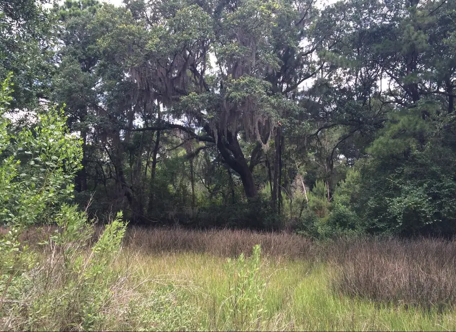 2907 River Road Road, Johns Island, SC 29455 - Image #2