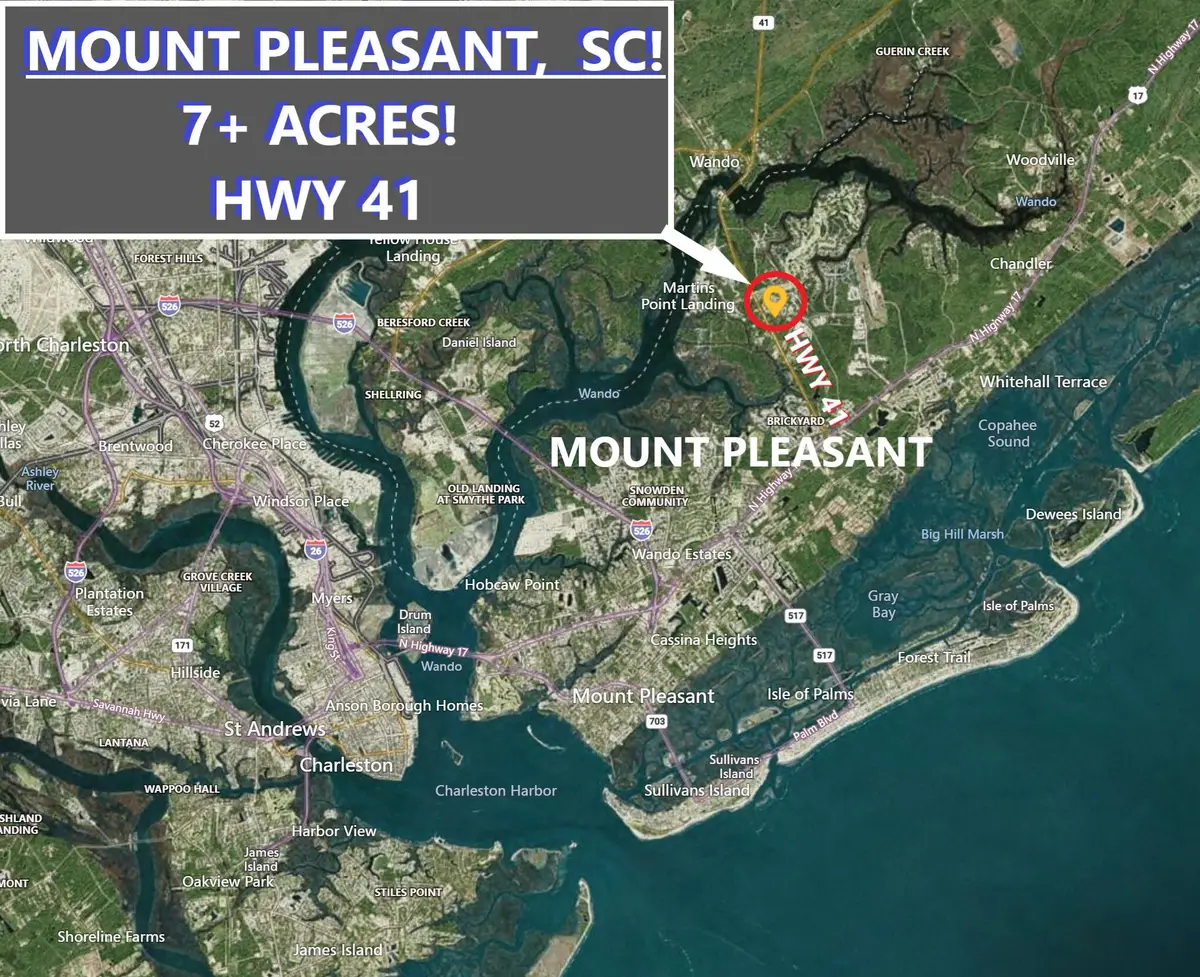0 Hwy 41, Mount Pleasant, SC 29466 - Image #1
