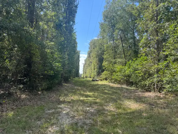 1571,1651 Creek Mill Road, North, SC 29112