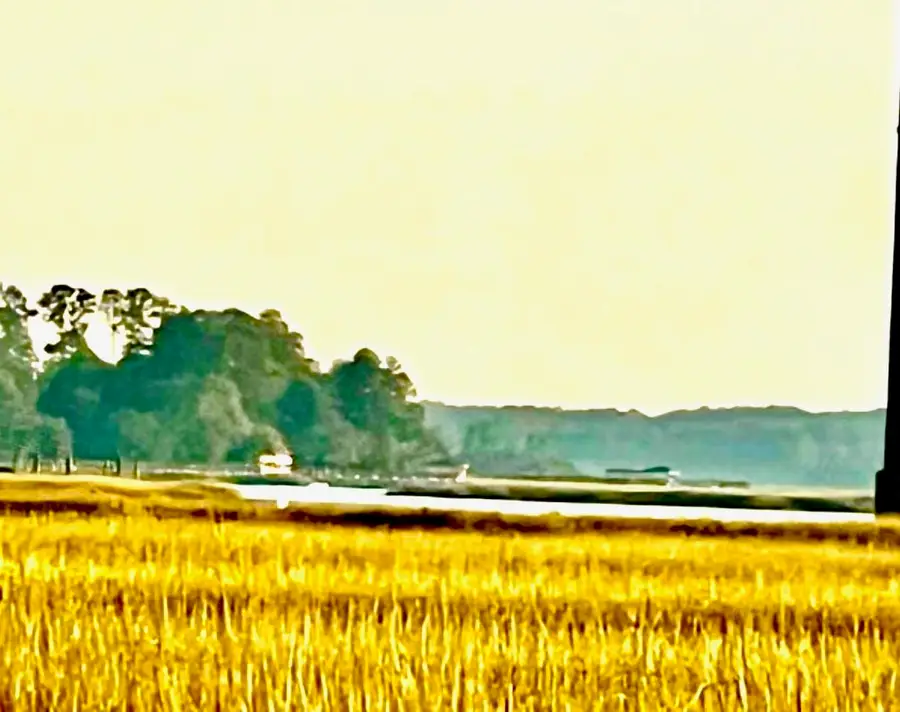 481 Paige Point, Seabrook, SC 29940 - Image #2