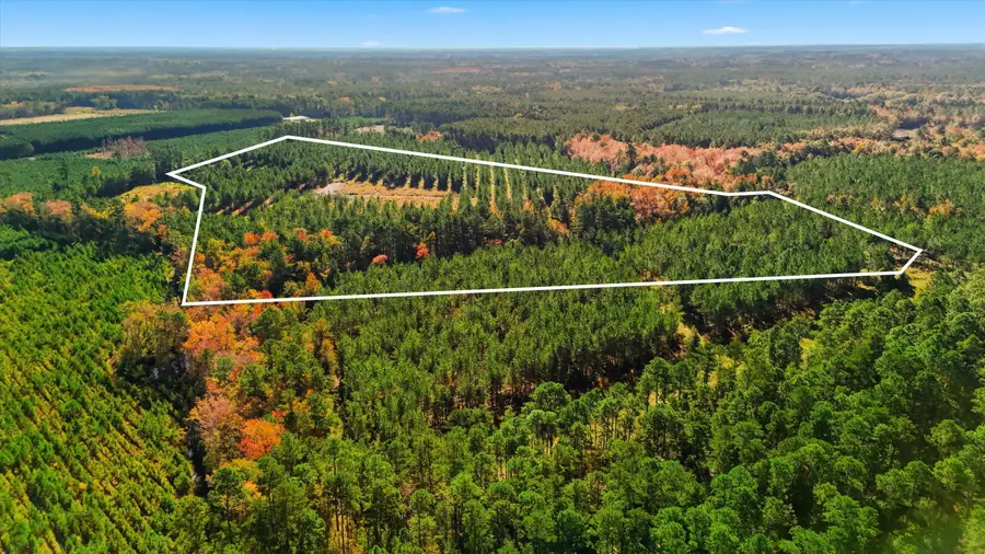 815 Rentz Drive, Walterboro, SC 29488 - Image #3