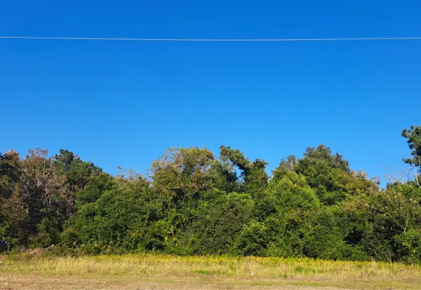 38-121 Hampton Street, Elloree, SC 29047