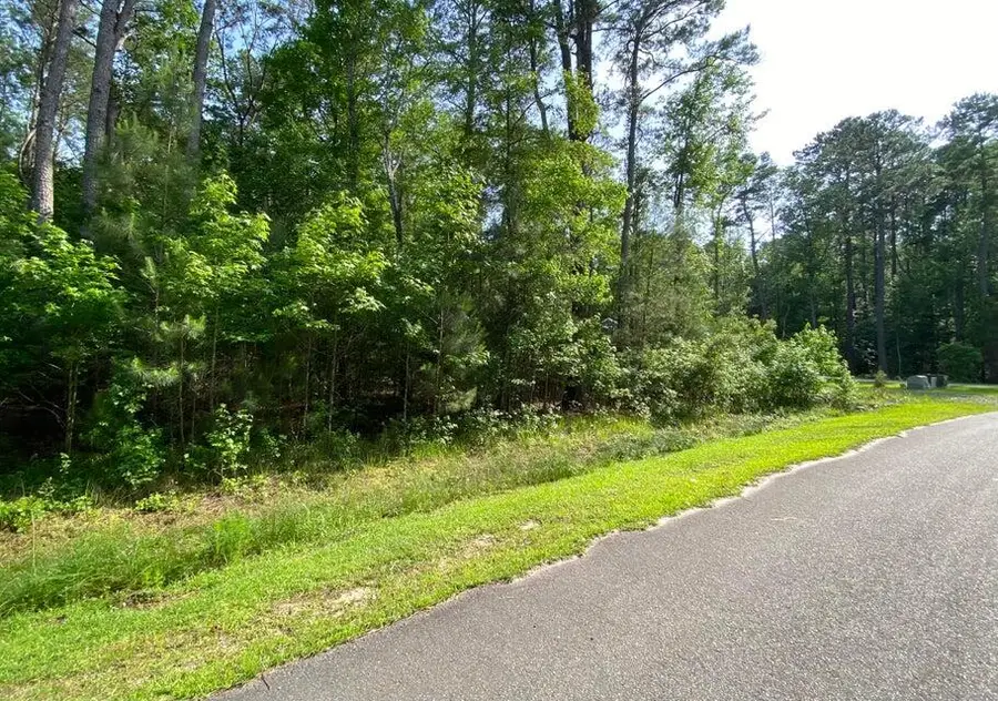 Lot 8 Buttonbush Drive, Ravenel, SC 29470 - Image #2