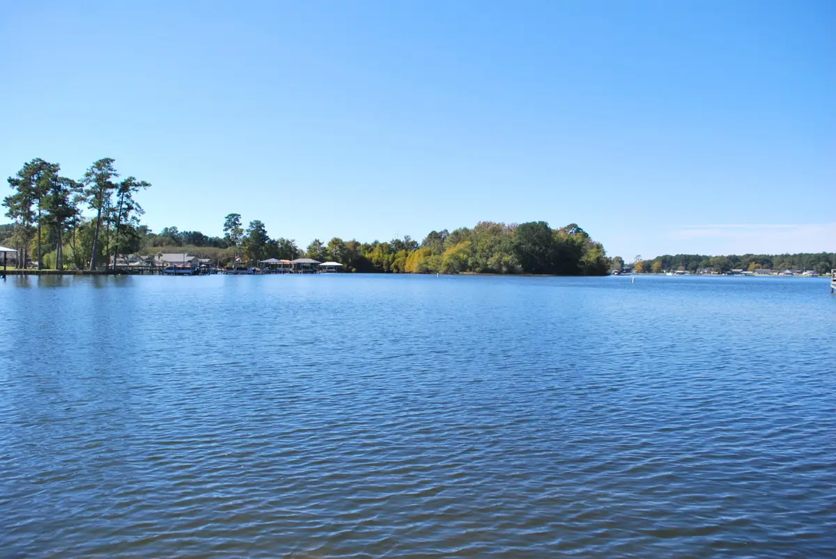 2985 Hwy 260, Manning, SC 29102 - Image #1