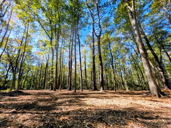 3047 Fickling Hill Road #C-2, Johns Island, SC 29455