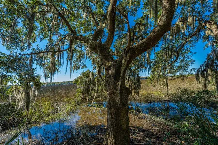 4654 Palm View Circle, North Charleston, SC 29418 - Image #2