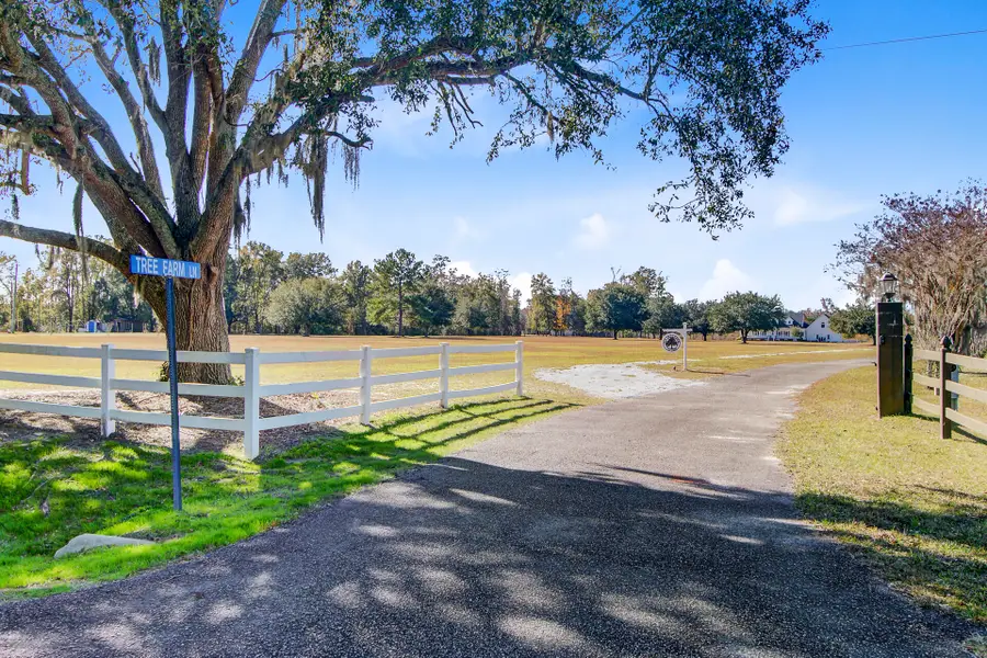 933 Tree Farm Lane, Cross, SC 29436 - #3