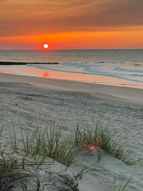 3113 Palmetto Boulevard, Edisto Island, SC 29438