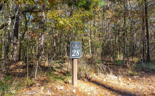 28 Buttonbush Drive, Ravenel, SC 29470