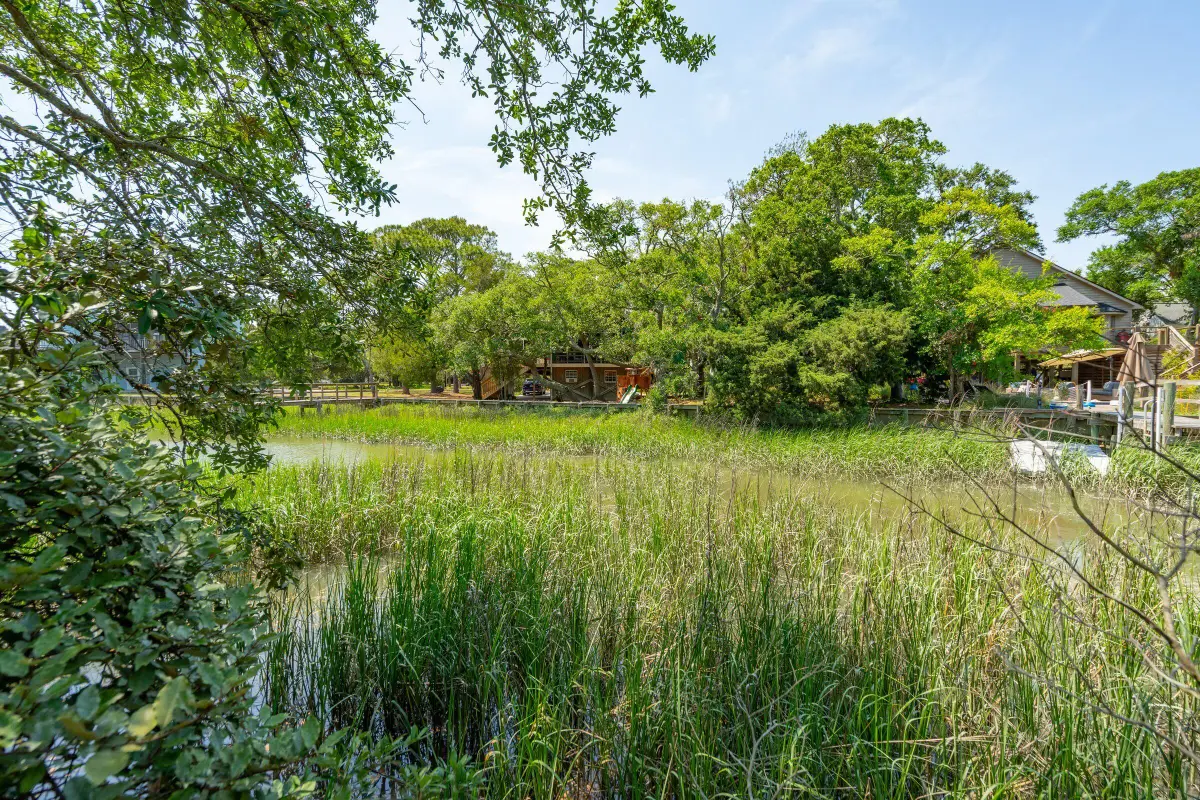 1012 E Erie Avenue, Folly Beach, SC 29439 - #1