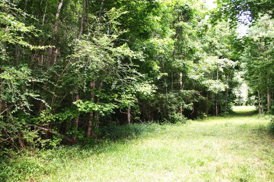 0 Kitfield Road, Moncks Corner, SC 29461 - #2