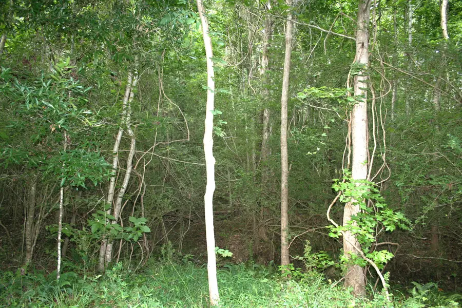 0 Kitfield Road, Moncks Corner, SC 29461 - #3