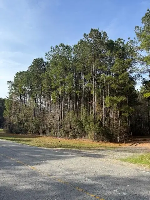 00 Myers Mayo Road #Lot 2, Ridgeville, SC 29472 - Image #2