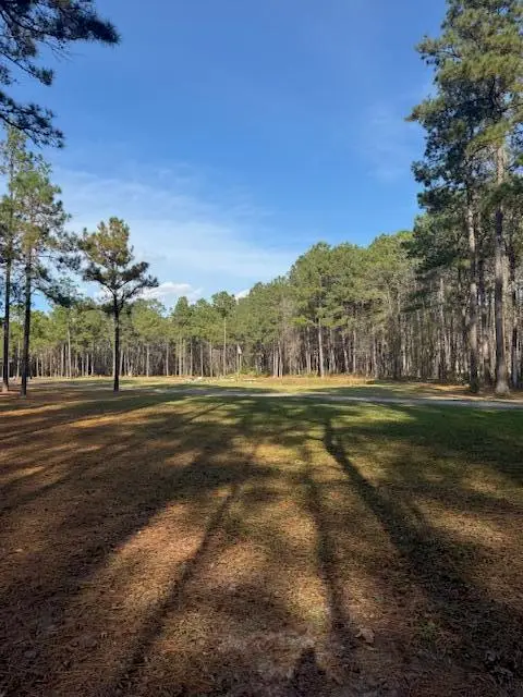 00 Myers Mayo Road #Lot 2, Ridgeville, SC 29472 - Image #3