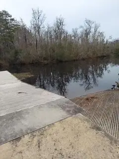 Lot 205 Prices Bridge Lane, Walterboro, SC 29488 - Image #3