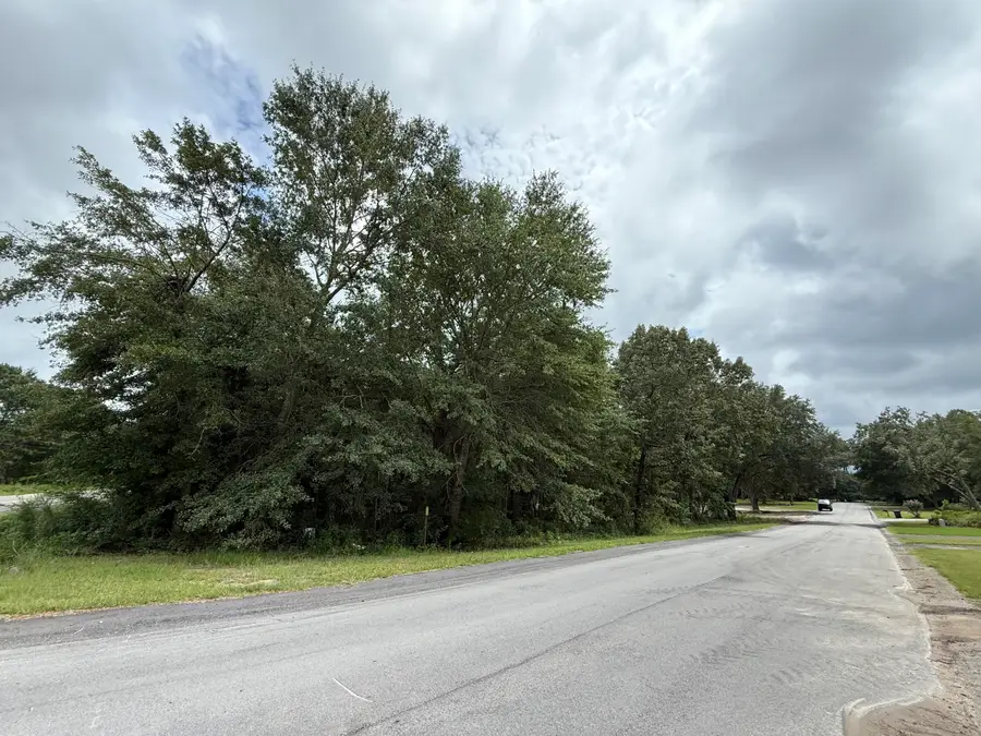 0000 Live Oak Lane, Barnwell, SC 29812 - Image #2