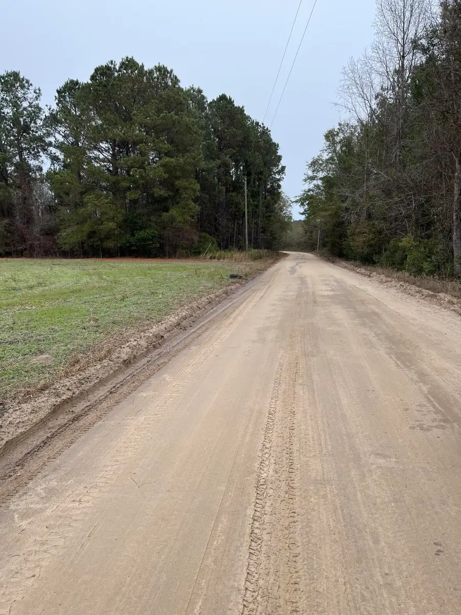 00 Ryn Street, Cope, SC 29038 - Image #3