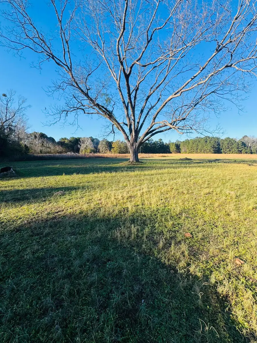 0 Bishopville Road, Saint George, SC 29477 - Image #3