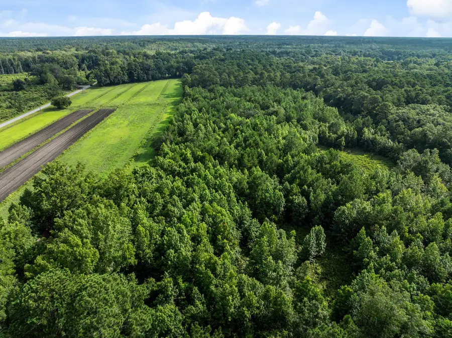 0 Oakville Road, Hollywood, SC 29449 - Image #3