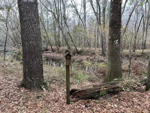 0 Parkers Ferry Rd Road, Ravenel, SC 29470 - Image #2