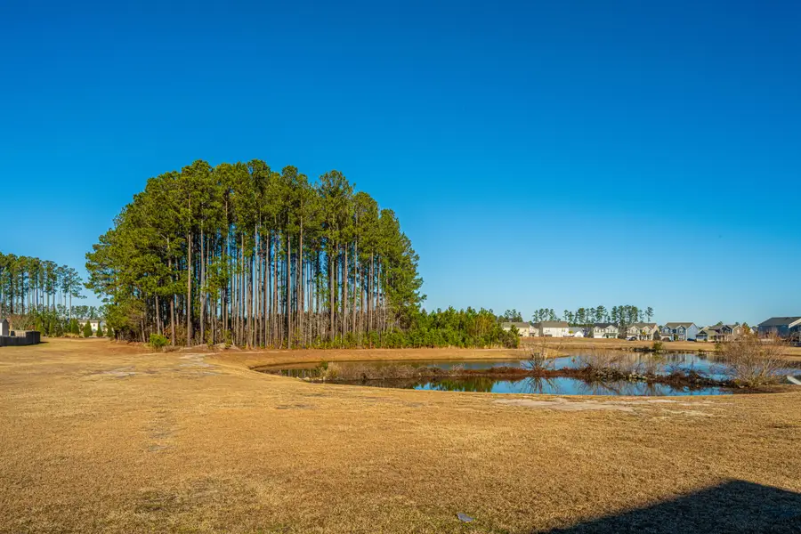 394 Sanctuary Park Drive, Summerville, SC 29486 - #3