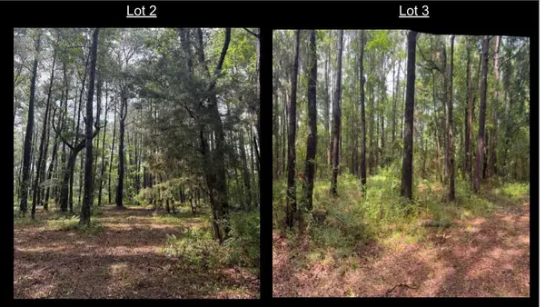 1051 Butterfly Lane, Awendaw, SC 29429