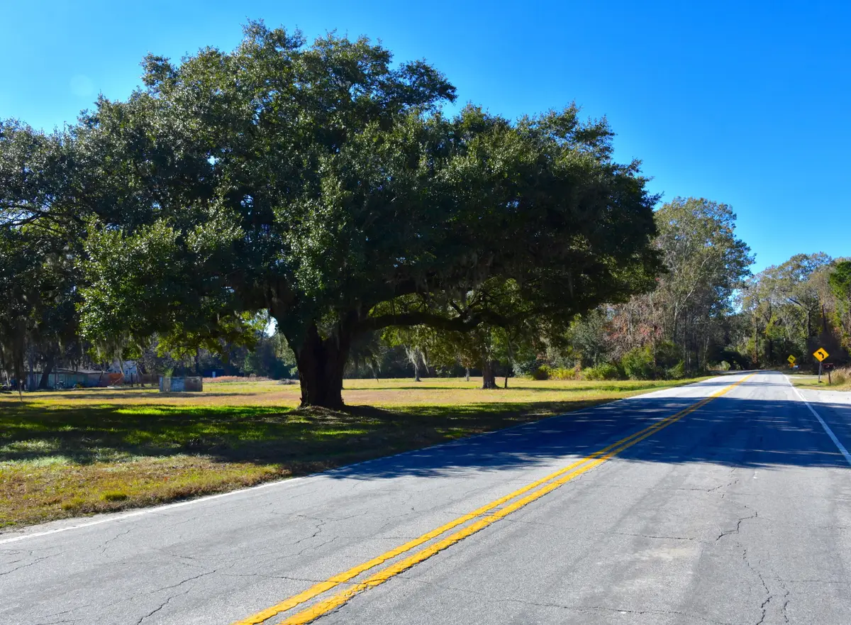 6721 Toogoodoo Road, Hollywood, SC 29449 - Image #1