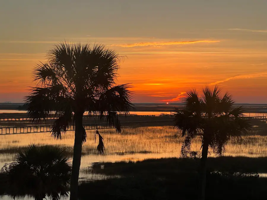 9715 Two Pines Road, McClellanville, SC 29458 - #3