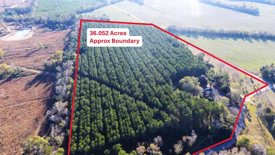 144 Broughton Lane, Eutawville, SC 29048 - #2