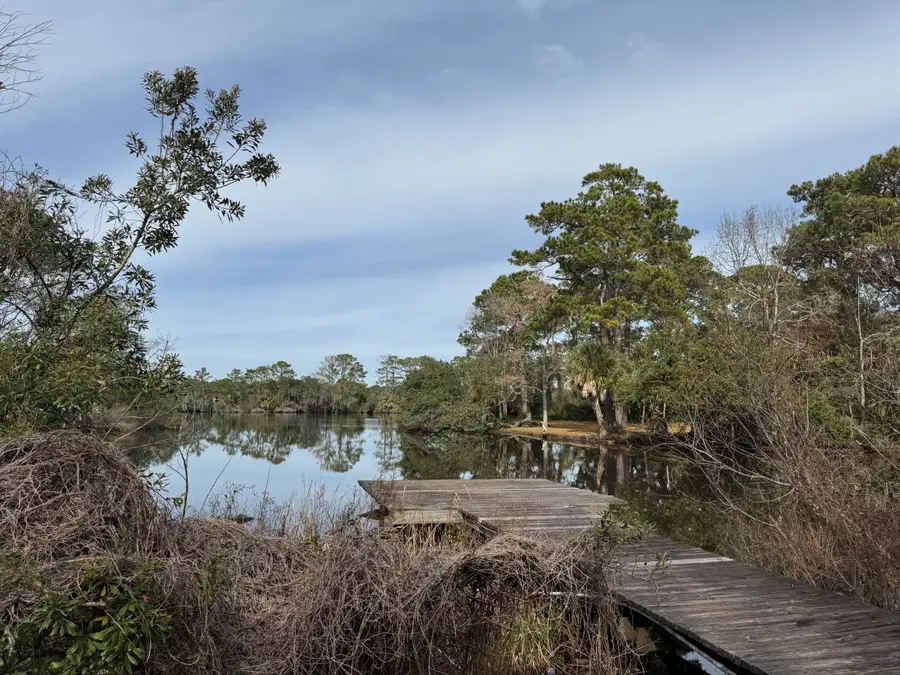 816 Bose Court, Mount Pleasant, SC 29464 - #2