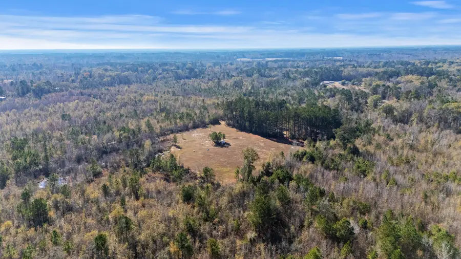 1 Primus Drive, Saint George, SC 29477 - Image #2