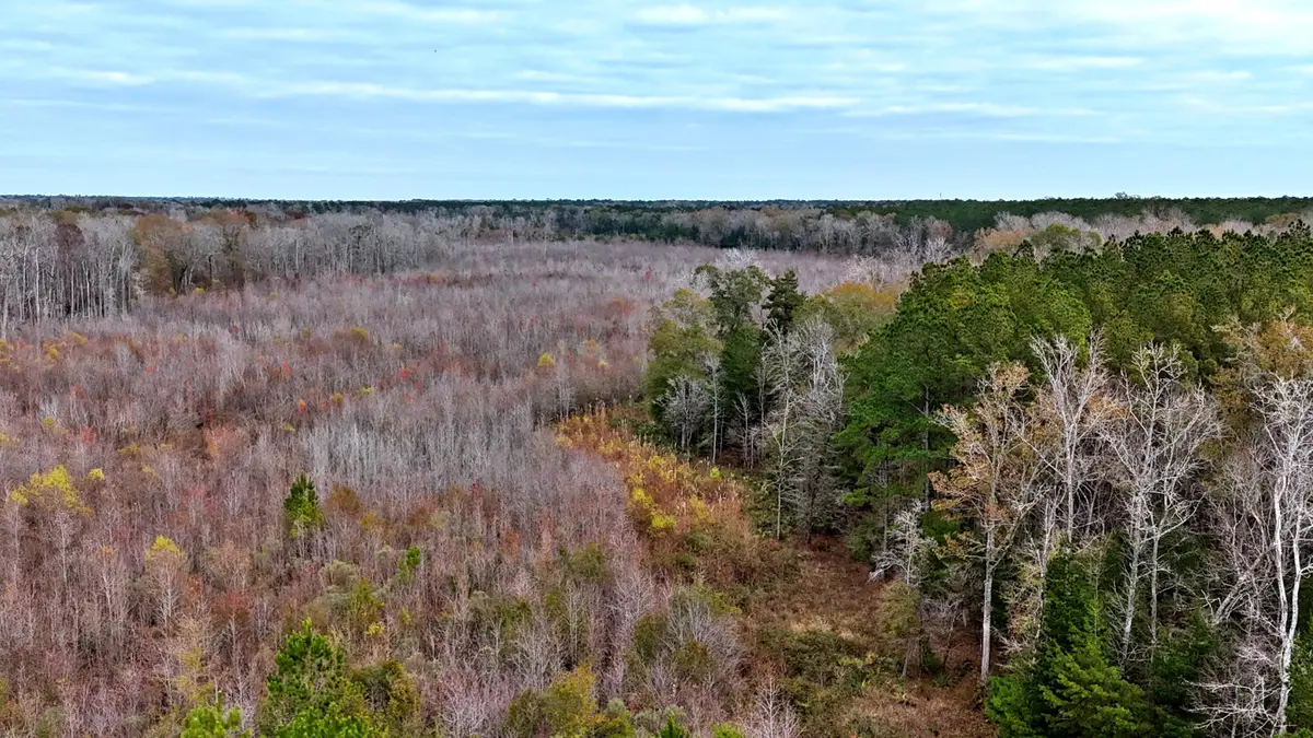 1215 Sandy Run Circle, Summerville, SC 29486 - #1