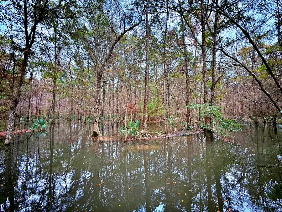 1215 Sandy Run Circle, Summerville, SC 29486 - #2