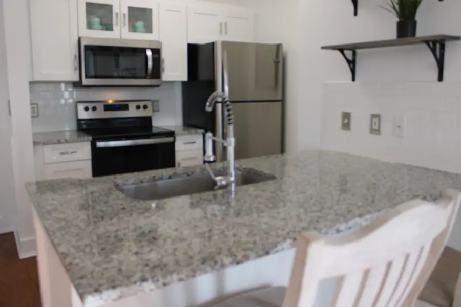 1300 Park West Boulevard #1010, Mount Pleasant, SC 29466 - #3