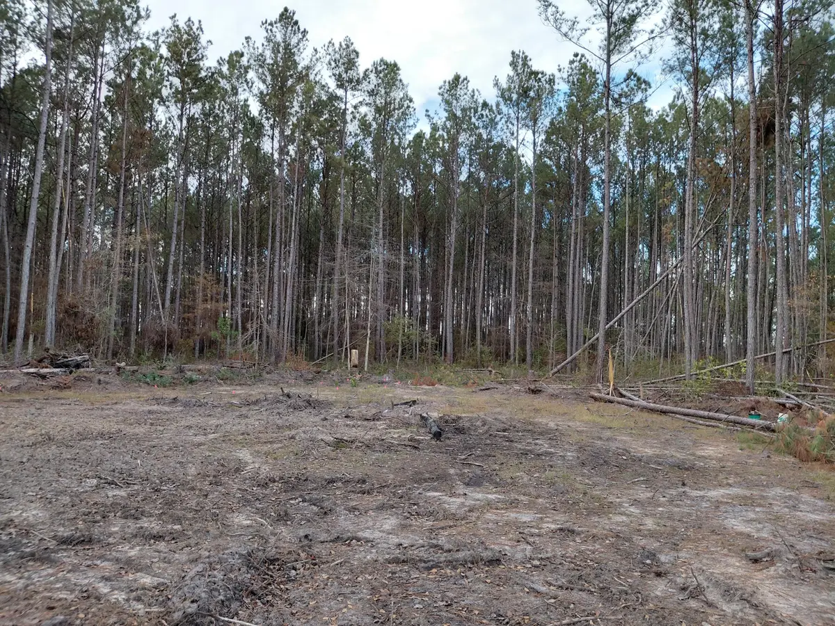 00 St Rd S-15-50 Bent Gate Lane, Walterboro, SC 29488 - Image #1