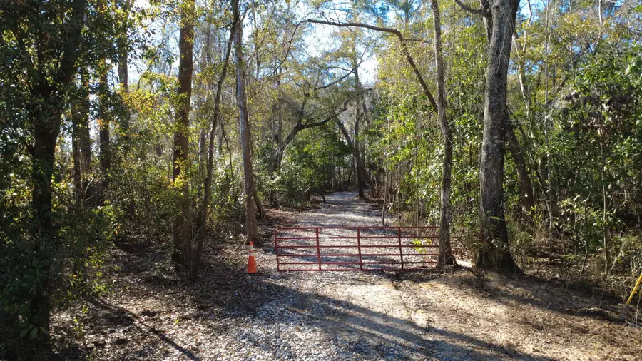 7225 Sc-165, Ravenel, SC 29470 - #2