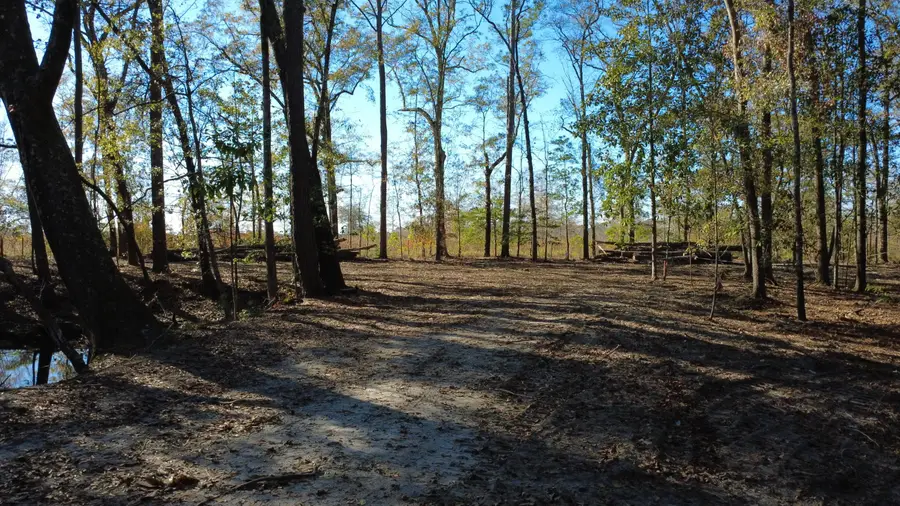 7225 Sc-165, Ravenel, SC 29470 - #3