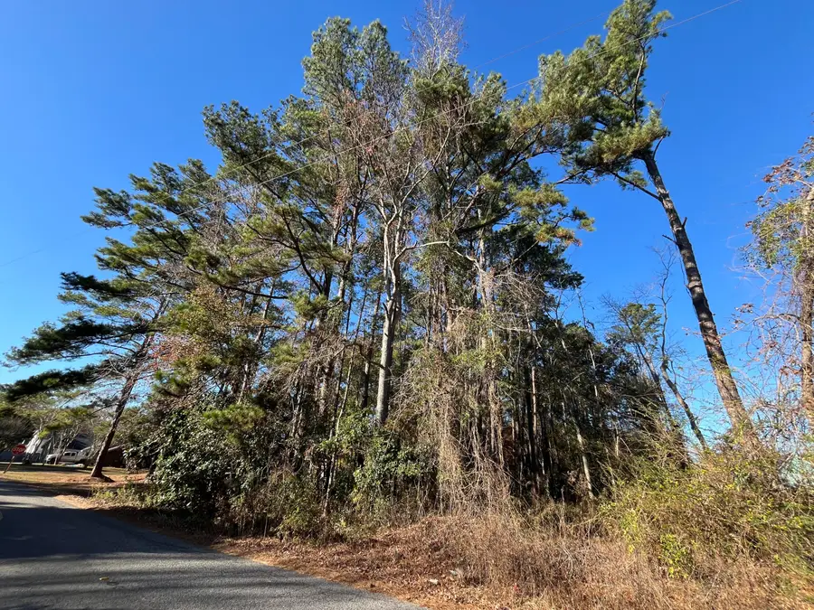 228 Wilson Drive, Summerville, SC 29483 - #2