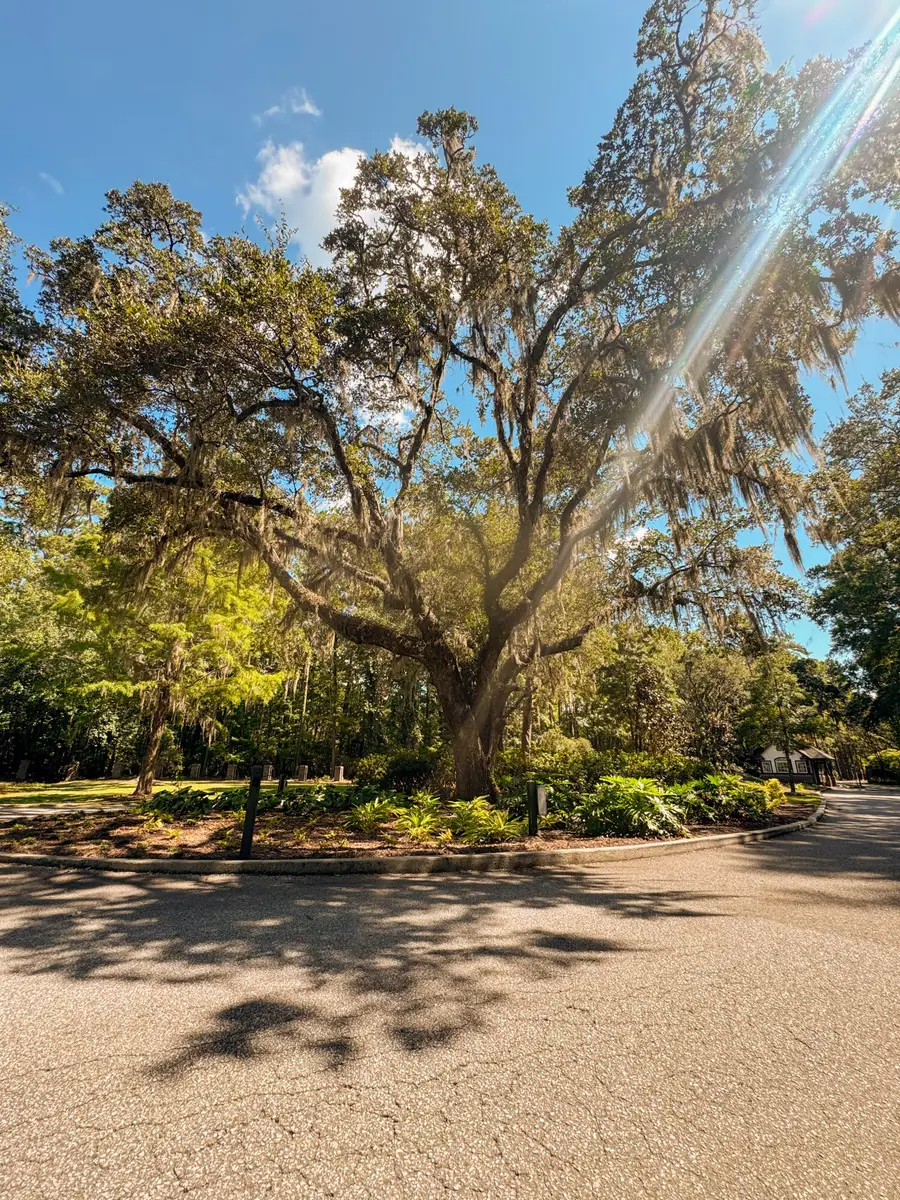 212 Bull Point Drive, Seabrook, SC 29940 - #3