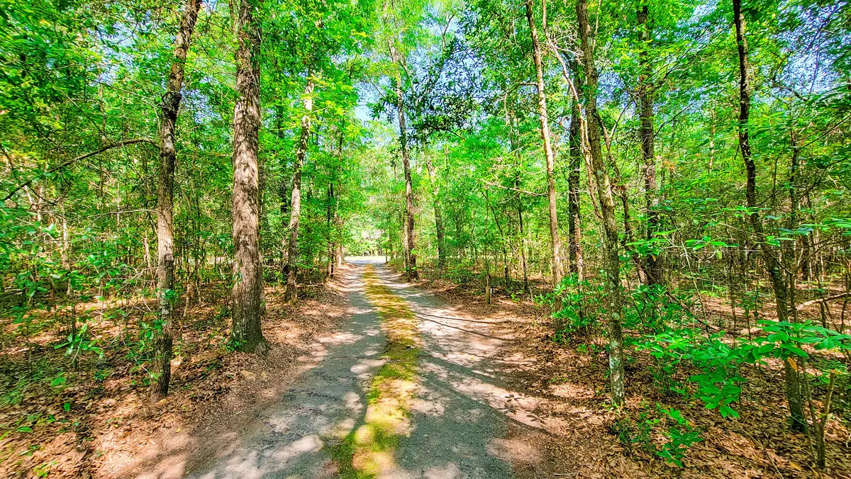 328 Sandy Springs Circle, Walterboro, SC 29488 - #1