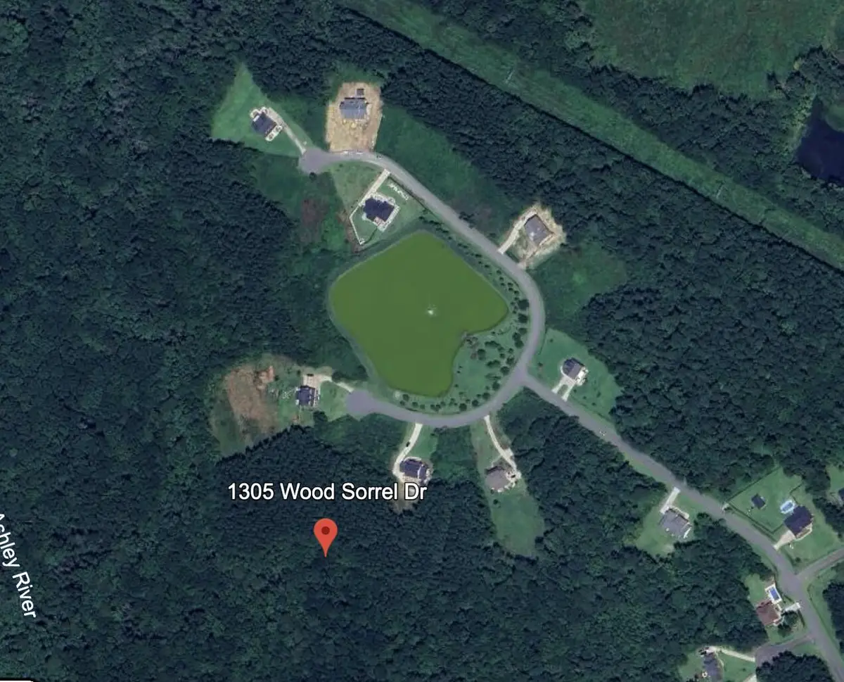 1305 Wood Sorrel Drive, Moncks Corner, SC 29461 - #1